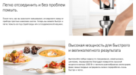 Блендер погружной Bosch MS8CM61X1