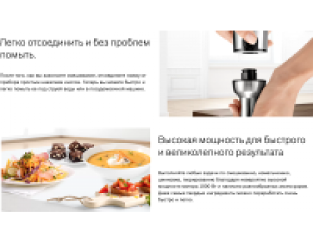 Блендер погружной Bosch MS8CM61X1