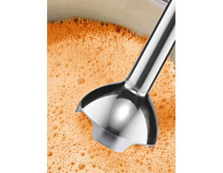 Блендер погружной Bosch MSM2620B