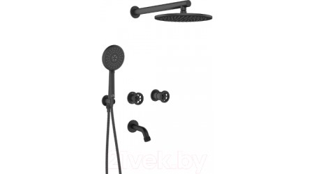 Душевая система Laveo Muro BAU711P