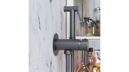 Смеситель Damixa Option 217000000 