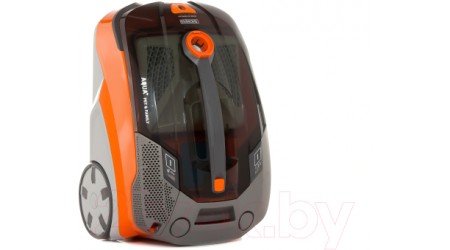 Пылесос Thomas Pet&Family (788563)