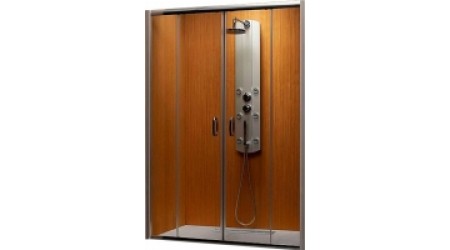 Душевая дверь Radaway Premium Plus DWD / 33373-01-01N