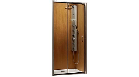 Душевая дверь Radaway Premium Plus DWJ / 33313-01-06N