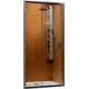Душевая дверь Radaway Premium Plus DWJ 1500 / 33343-01-01N