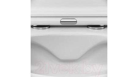 Унитаз подвесной с инсталляцией AM.PM Pro L IS49051.801701