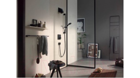 Душевой гарнитур Hansgrohe Pulsify 24160670