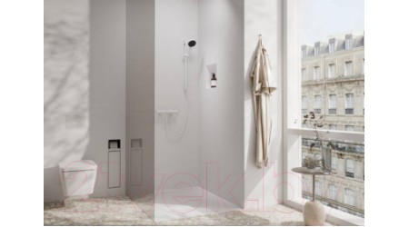 Душевой гарнитур Hansgrohe Pulsify Relaxation 24160700