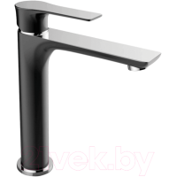 Смеситель Laveo Raila BLL72ND