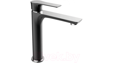 Смеситель Laveo Raila BLL72ND 