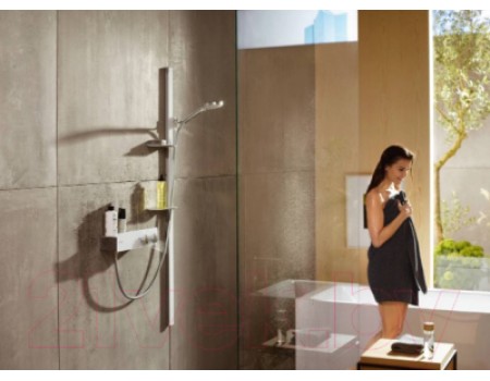 Душевой гарнитур Hansgrohe Raindance 27646000