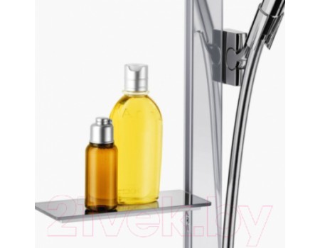 Душевой гарнитур Hansgrohe Raindance 27646000