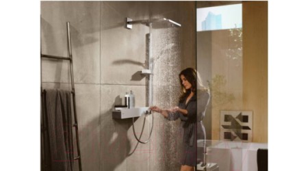 Душевой гарнитур Hansgrohe Raindance 27648000