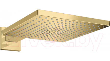 Верхний душ Hansgrohe Raindance Е Air 1jet 300 26238990