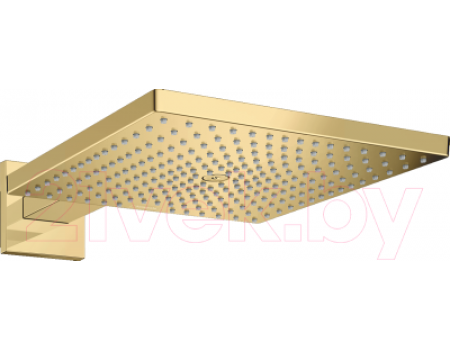Верхний душ Hansgrohe Raindance Е Air 1jet 300 26238990