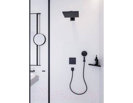Верхний душ Hansgrohe Raindance Е Air 1jet 300 26238990