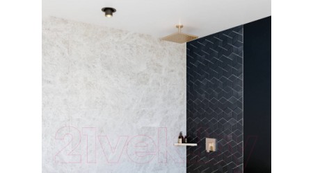 Верхний душ Hansgrohe Raindance Е Air 1jet 300 26250670
