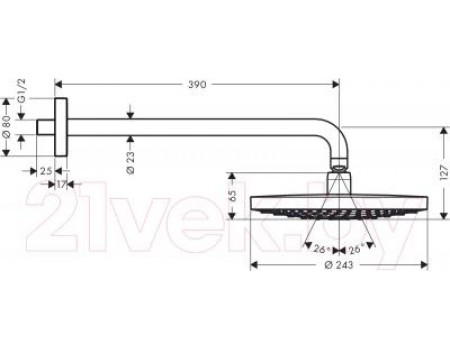 Верхний душ Hansgrohe Raindance Select S 26466000