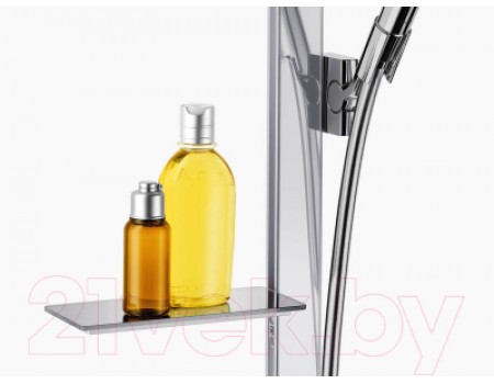Душевой гарнитур Hansgrohe Raindance Select S 27648400