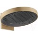Верхний душ Hansgrohe Rainfinity 26230140