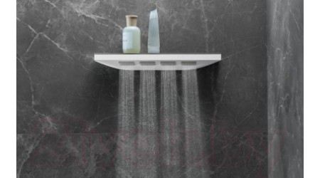 Боковой душ Hansgrohe Rainfinity 26243700