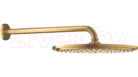 Верхний душ GROHE Rainshower 26066GN0