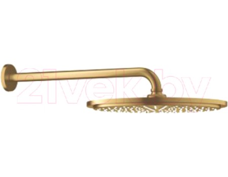 Верхний душ GROHE Rainshower 26066GN0