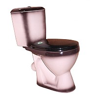 Унитаз напольный Rosa Лира (черный)