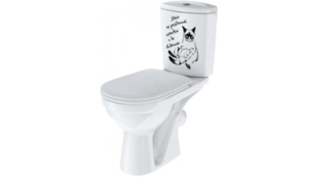 Унитаз напольный Rosa Комфорт декор Кот на заседании