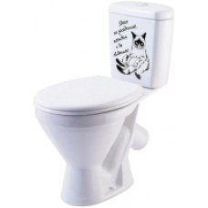 Унитаз напольный Rosa Стандарт декор Кот на заседании