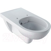 Унитаз подвесной Geberit Selnova Comfort 500.262.01.1
