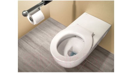 Унитаз подвесной Geberit Selnova Comfort 500.262.01.1
