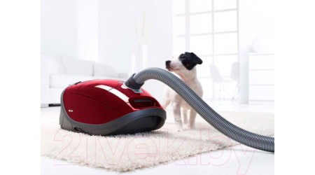 Пылесос Miele SGEA3 Complete C3 Cat&Dog (ежевичный/красный)