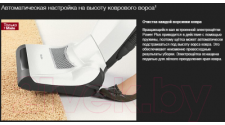 Вертикальный пылесос Miele SHAM3 Dynamic U1 (черный обсидиан)