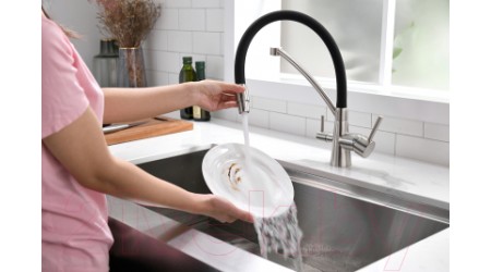 Смеситель Paulmark Siegen 213111-NI (никель) 