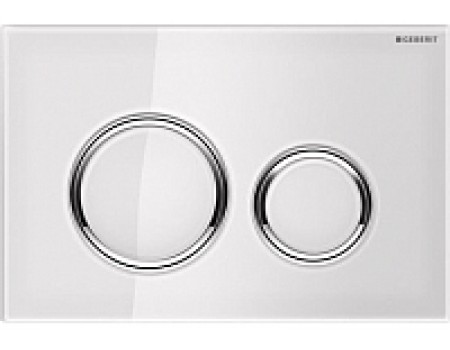Кнопка для инсталляции Geberit Sigma 21 115.884.SI.1