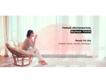 Конвектор Redmond SkyHeat RCH-7003S (черный)
