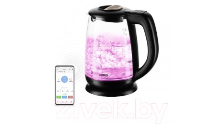 Электрочайник Redmond SkyKettle RK-G233S (черный)