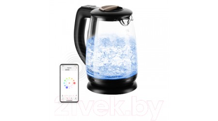 Электрочайник Redmond SkyKettle RK-G233S (черный)