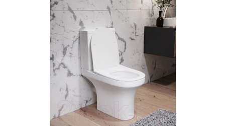 Унитаз напольный Damixa Skyline DX35C8600SC (с сиденьем)