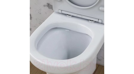 Унитаз напольный Damixa Skyline DX35C8600SC (с сиденьем)