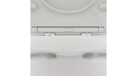 Унитаз напольный Damixa Skyline DX35C8600SC (с сиденьем)