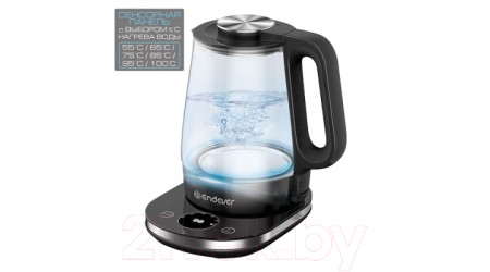 Электрочайник Endever Skyline KR-334G (черный/стекло)