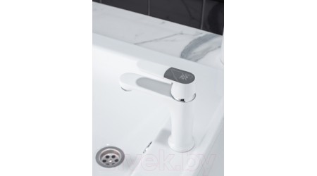 Смеситель РМС SL123W-001F 