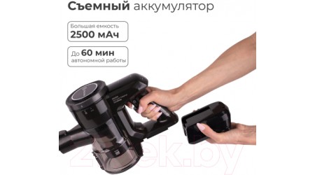 Вертикальный пылесос Evolution Smart DS2511 (с базой самоочистки)