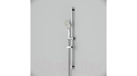 Душевой гарнитур AM.PM Spirit F0170064