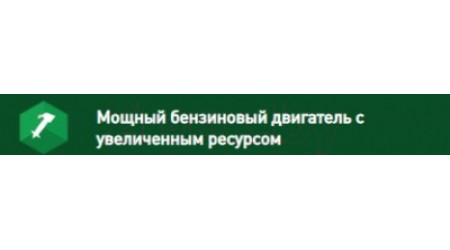 Бензокоса Oasis TB-250P