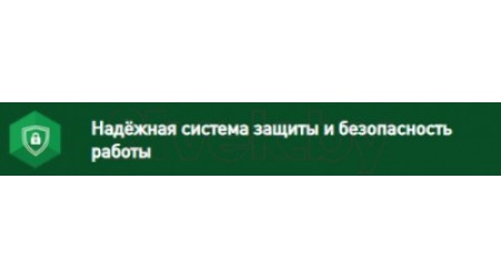 Бензокоса Oasis TB-250P