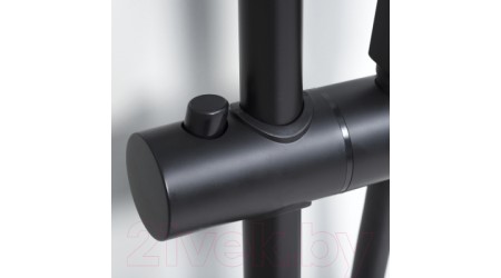 Душевая система Wasserkraft Thermo A29901