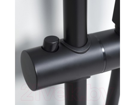 Душевая система Wasserkraft Thermo A29901